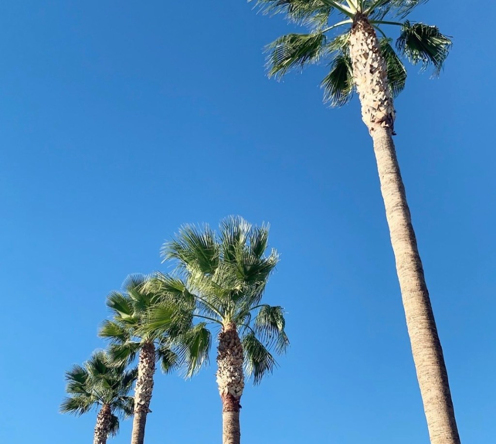 The Best Clean Tinted SPFs: Tested &&nbsp;Reviewed